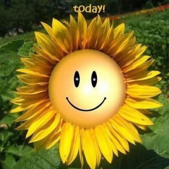 Meet your Posher, Carol - Picture 1 of 1